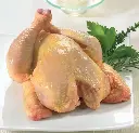 CORNISH HEN YELLOW +/- 500G - COCQUELET PIÈCE +/- 500G