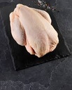 POULARDE CHICKEN -POULARDE