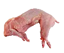 WHOLE RABBIT -LAPIN ENTIER