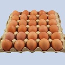 EGGS MEDIUM - 18 OEUF MOYEN - 19