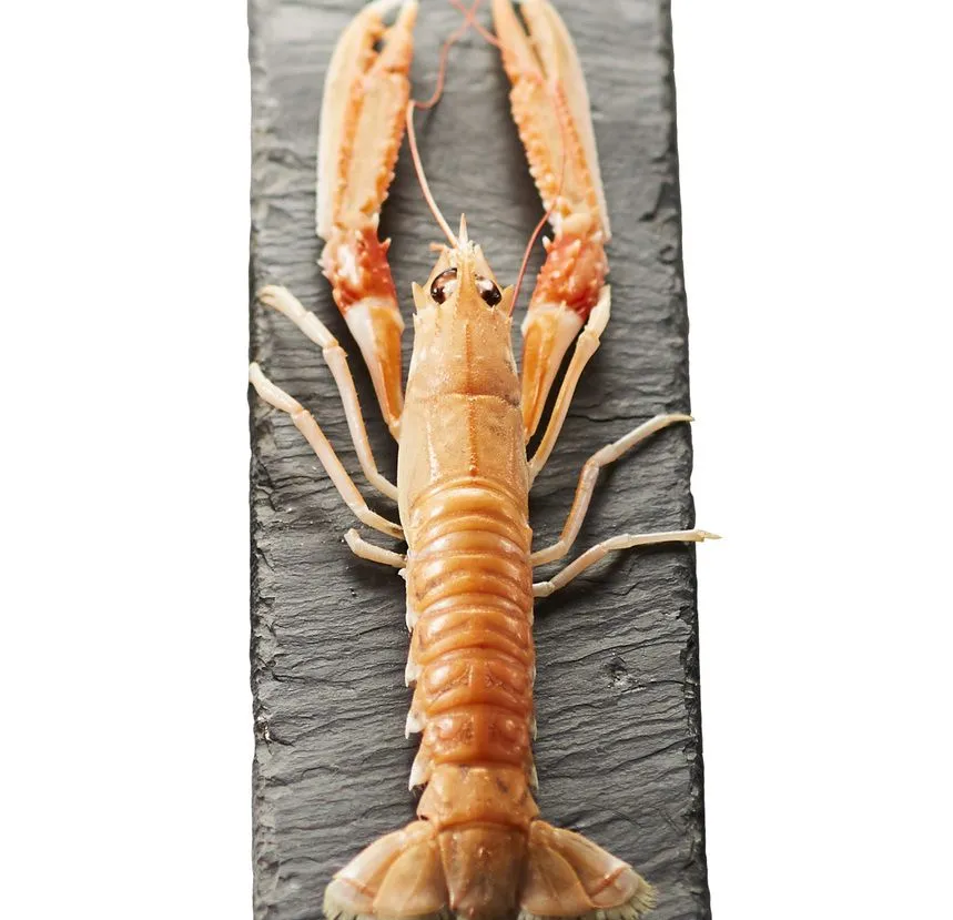 LANGOUSTIN 16/20 UE -1 KG LANGOUSTINE 16/20 UE -1 KG