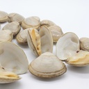 CLAMS THIN MED 1 KG - PALOURDE FINE MED 1 KG