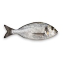 DORADE ROYALE 6/800GR MÉDITERRANÉE -ROYAL SEA BREAM 6/800GR MED.