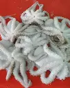 MOSCATINI "WHITE OCTOPUS" LINE FISHING MOSCATINI "POULPE BLANC" PECHE LIGNE