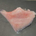 SKATE ATLANTIC N/EST – RAIE AILE ATLANTIQUE N/EST