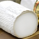 GOAT'S CHEESE LOG - 1KG  FROMAGE CHEVRE BUCHE - 1KG 