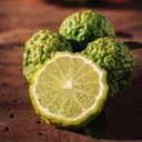 COMBAVA INDONESIA - KG COMBAVA INDONESIAN - KG