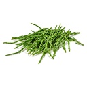 CRESS SALICORNIA - PUNNET- CRESS SALICORNIA - BQT