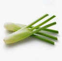 FENNEL MINI - BUNCH FENOUIL MINI  - BTE