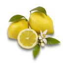 LEMON ORGANIC - KG CITRON FEUILLE BIO - KG