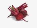 MINI BEETROOT, PUNNET MINI BETTERAVE - BQT