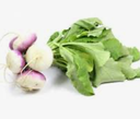 MINI TURNIPS - PUNNET MINI NAVETS - BQT/BTE