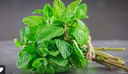 MINT - BUNCH MENTHE - BOTTE