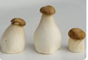 MUSHROOM KING TRUMPET - KG PLEUROTE EN FORME DE TROMPETTE - KG