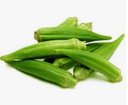 OKRA FRESH - KG GOMBOS/GOKRA - KG