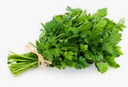 PARSLEY FLAT -BUNCH PERSIL PLAT - BOTTE