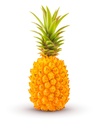 PINEAPPLE VICTORIA - KG ANANAS VICTORIA - KG