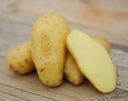 POTATO DELIKATESS SMALL - KG PATATE DELIKATESS PETITE - KG