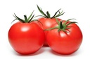 TOMATO ROUND - KG TOMATE RONDE - KG