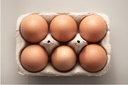 EGGS DUCK - 6 OEUFS DE CANE - 6