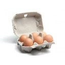 EGGS MEDIUM - 6 OEUFS MOYEN - 6