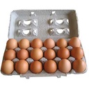 EGGS ORGANIC - 15PC OEUFS BIO LA PLUME BLANCHE- 15PC