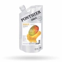 EXOTIC FRUITS GROUT FROZEN - 1KG MANGUE FRUIT COULIS - 1KG