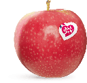 APPLE PINK LADY  - POMME PINK LADY