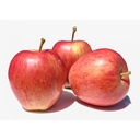 APPLE RED ROYAL GALA - POMME ROUGE ROYAL GALA