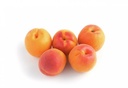 APRICOT - ABRICOT 