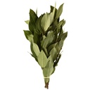 BAY LEAVES - LAURIER 