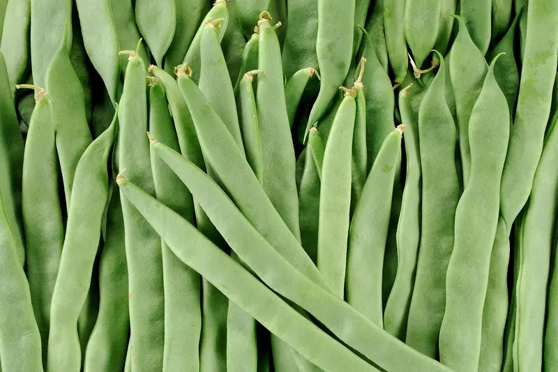 BEANS COCO FLAT - KG HARICOT COCO PLAT - KG