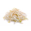 BEANS SPROUTS - GERME SOJA