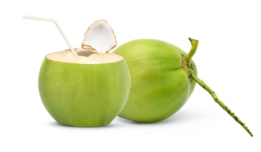 COCONUT FRESH THAI - NOIX DE COCO FRAICHE THAI