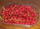 CURRANT EXTRA - PUNNET GROSEILLE EXTRA - BARQUETTE