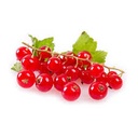 CURRANT RED - GROSEILLE ROUGE 