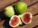 FIG GREEN EXT -  FIGUE VERT EXT 