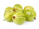 GOOSEBERRY - GROSEILLE MACQUEREAU