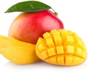 MANGO EXTRA - MANGUE EXTRA