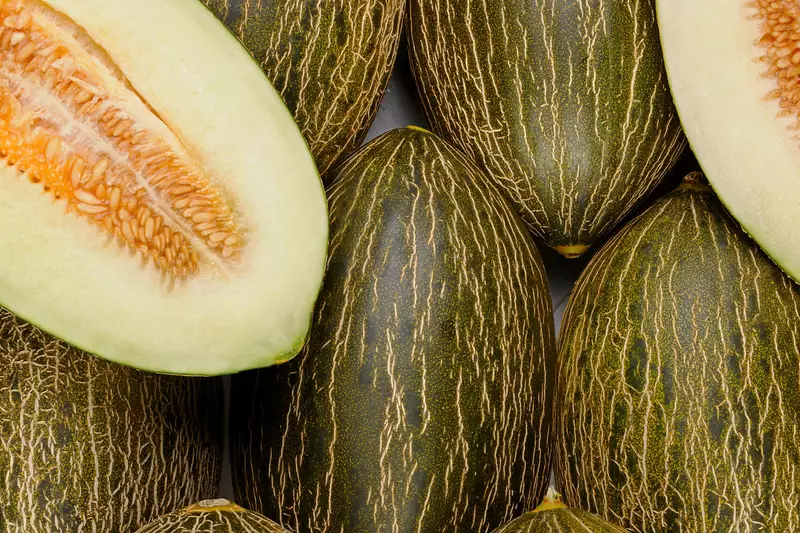 MELON GREEN - MELON VERT 