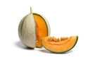 MELON RUBIS DE LANSAC - MELON CHARENTAIS