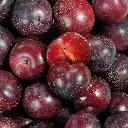PLUM BLACK - PRUNE NOIRE 