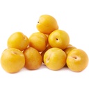 PLUMS GOLDEN - PRUNE JAUNE 