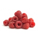 RASPBERRY EXTRA - PUNNET FRAMBOISE GROSSE EXTRA - BARQUETTE