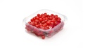 RED CURRENT - GROSEILLE