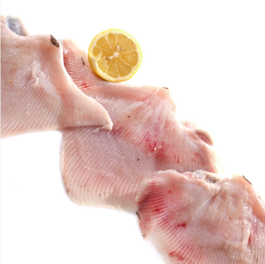 BIG RAY WING TRAWL FAO 27.7 – RAIE AILE PÊCHÉE CHALUT FAO 27.7