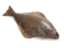BLACK HALIBUT ATLANTIC N/EST – FLÉTAN NOIR ATLANTIQUE N/EST
