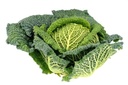 CABBAGE GREEN CURLY SAVOY - CHOUX VERT FRISE