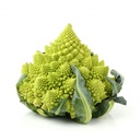 ROMANESCO CABBAGE - CHOU ROMANESCO 