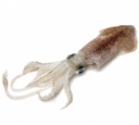 CALAMARI 1/200GR -  CALAMAR 1/200GR 